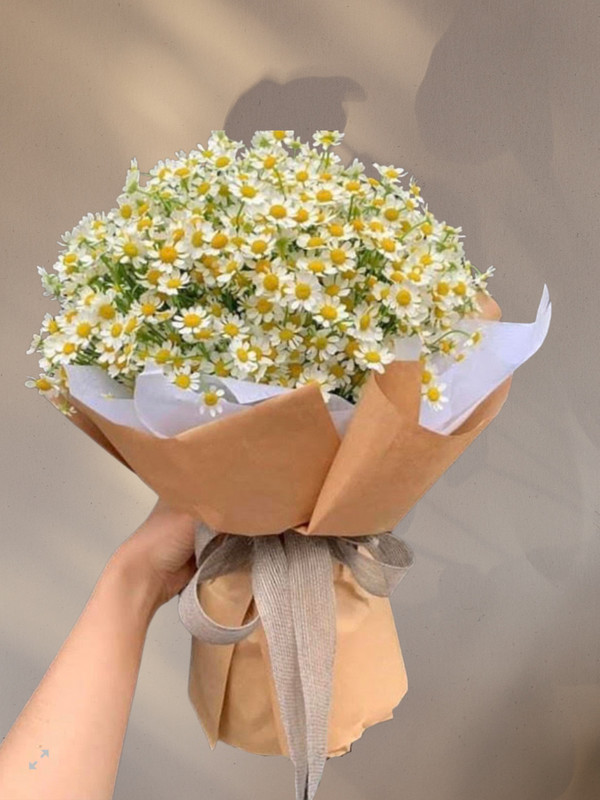 Bó hoa tana - Hoa 8/3