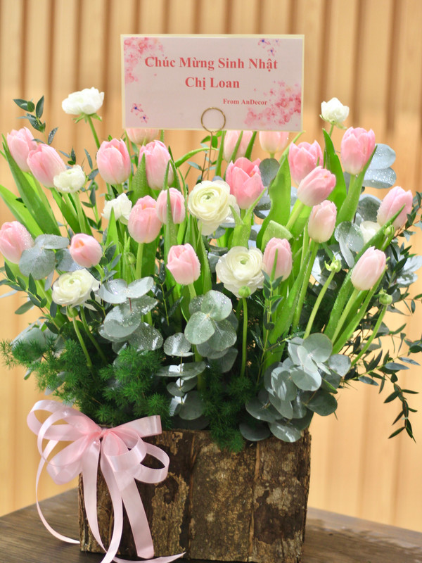 Lẵng hoa tặng sếp nữ -  Tulip hồng mix hoa Mao lương 20 bông sang trọng