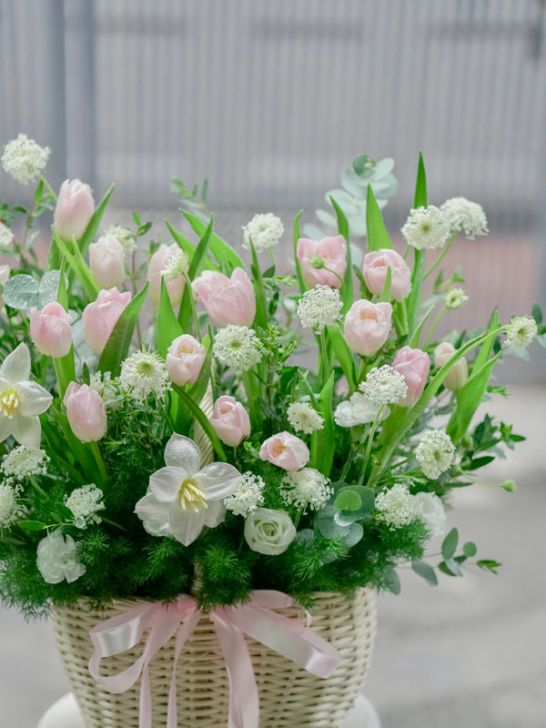 Giỏ hoa tulip hồng nhạt 20 cành sang trọng tặng sinh nhật