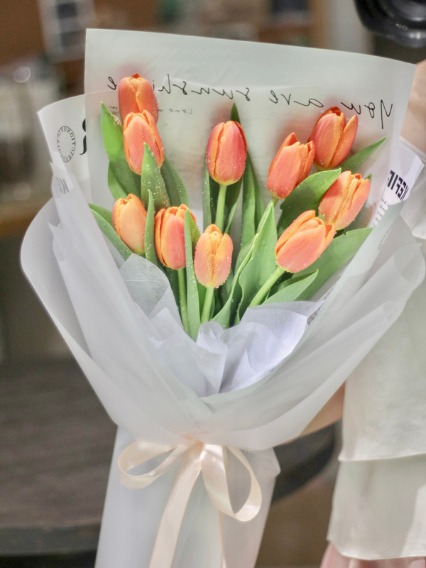 Hoa tulip cam - Bó hoa tulip cam tặng sinh nhật 