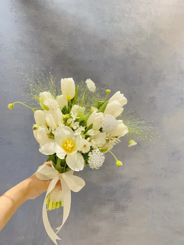 Hoa cưới tulip trắng 