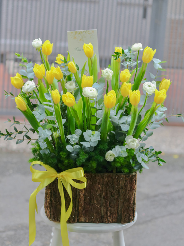 Hoa tulip tươi  - Giỏ hoa tulip vàng mix mao lương sang trọng tặng đối tác