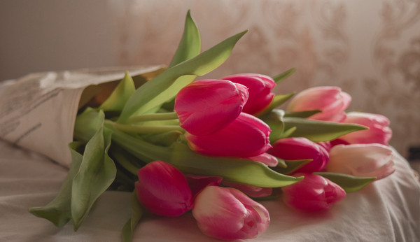 Valentine 14/2 nên tặng hoa gì