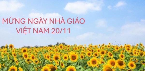 Giỏ hoa chúc mừng ngày nhà giáo VN 20/11