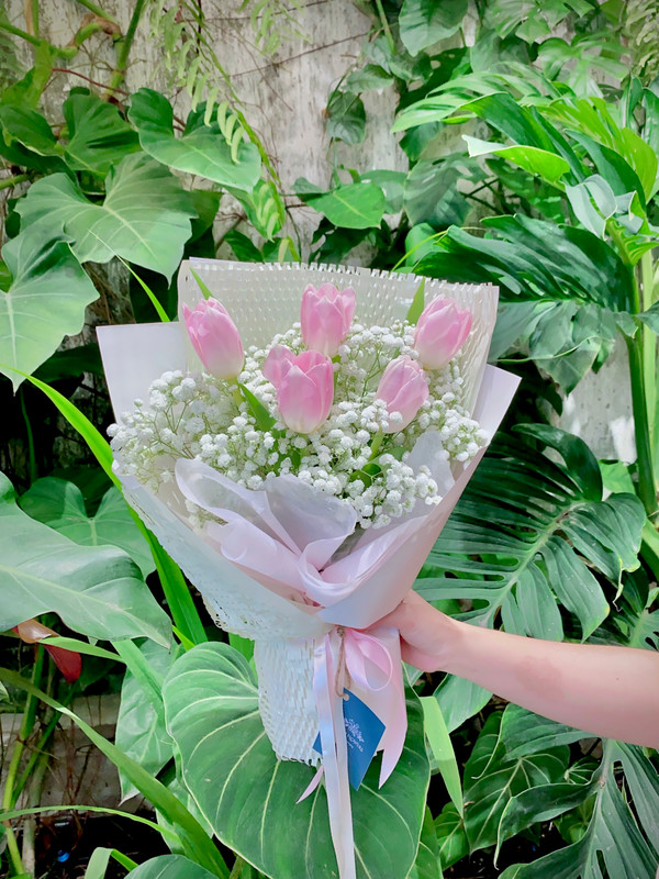 Hoa tulip tặng sinh nhật - Hoa tulip mix baby tặng người yêu
