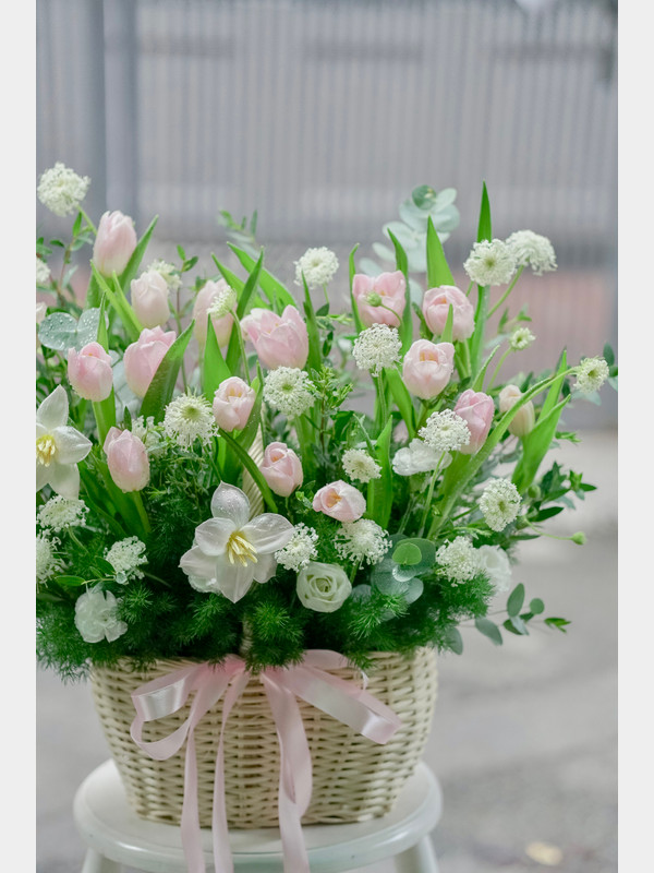 Giỏ hoa tulip hồng nhạt 20 cành sang trọng tặng sinh nhật