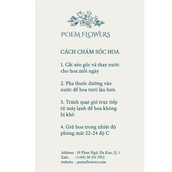 HƯỚNG DẪN BẢO QUẢN HOA [Hoa 20/10] Hoa tặng người yêu - Bó hoa tulip 5 bông đủ màu đẹp, sang trọng tặng sinh nhật