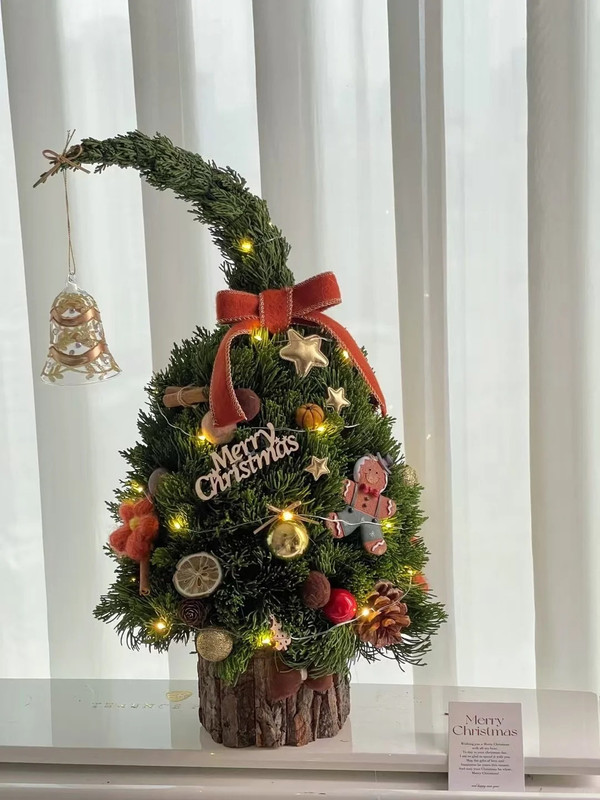 Chậu tùng Giáng Sinh -Cành tùng thơm cắm hình cây thông cao 50-60cm