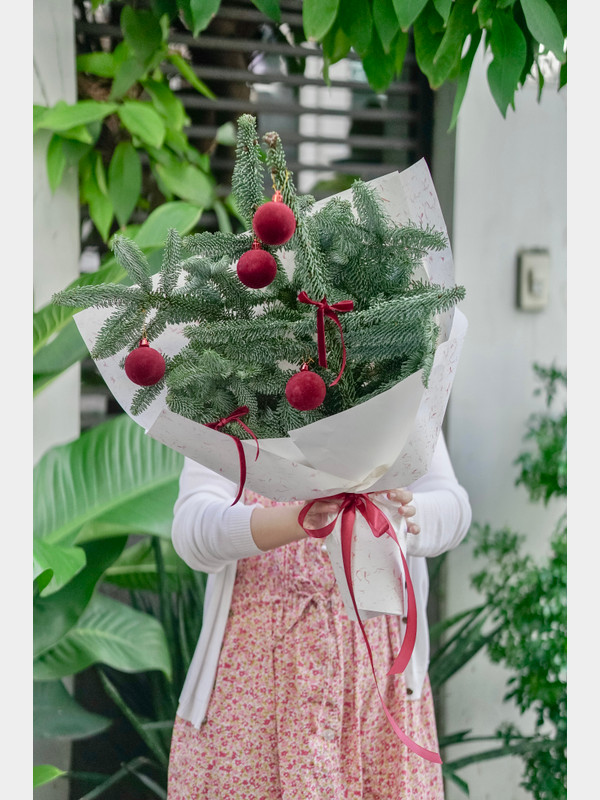 Bó hoa thông tươi trang trí châu đỏ